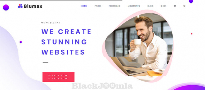 ThemeForest Blumax 1.1.1