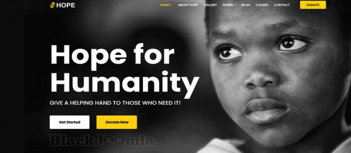 JoomShaper Hope 2.0.2