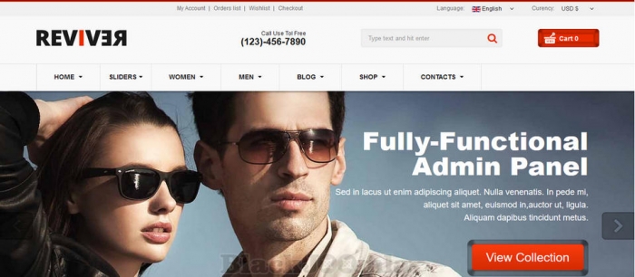 ThemeForest Reviver 6.6