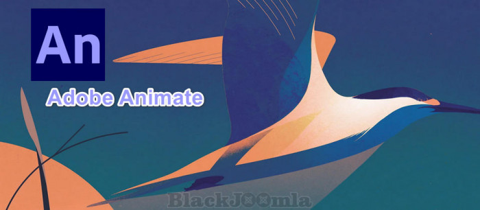 Free Adobe Animate 2023 v23.0.2.103 Win/Mac