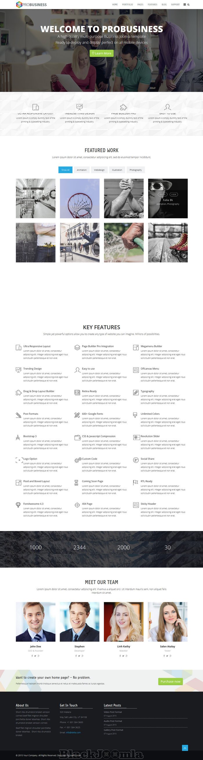 themeforest ProBusiness 2.1