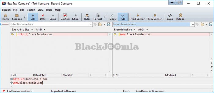 Beyond Compare Pro 4.4.6.27483 Win/Mac + Portable