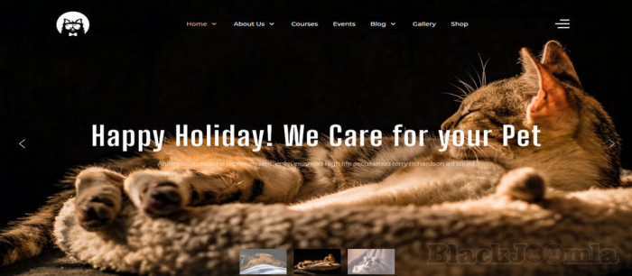 ThemeForest PetHub 1.0.0