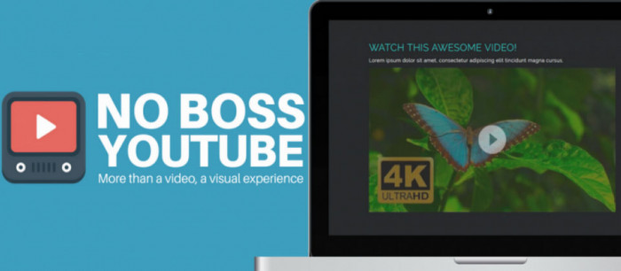 No Boss Youtube 1.1.1