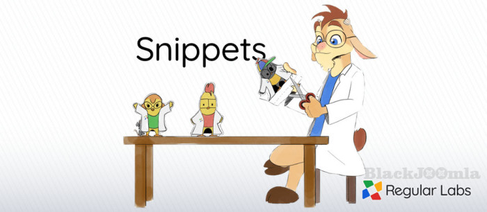 Snippets Pro 9.3.8