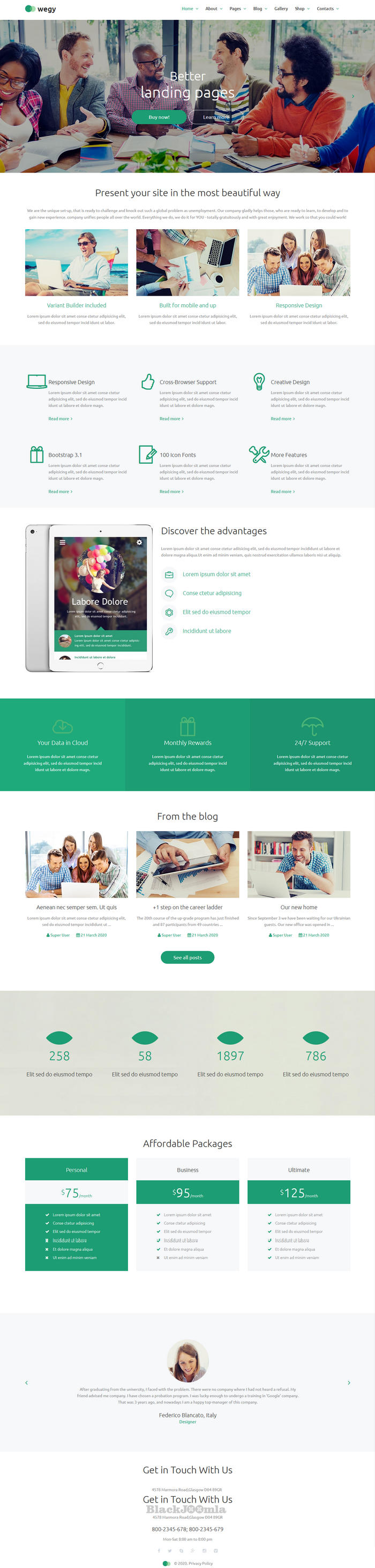 TemplateMonster Wegy